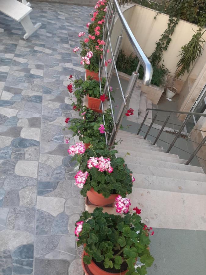 Family Hotel Coral سوزوبول المظهر الخارجي الصورة